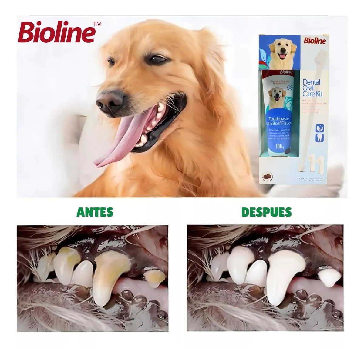 SET CUIDADO DENTAL BIOLINE PARA PERROS