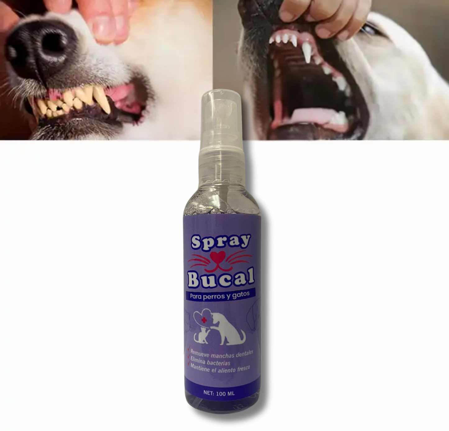 SPRAY BUCAL PARA MASCOTAS 100 ML