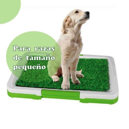 BAÑO ECOLÓGICO PORTÁTIL PARA CACHORROS