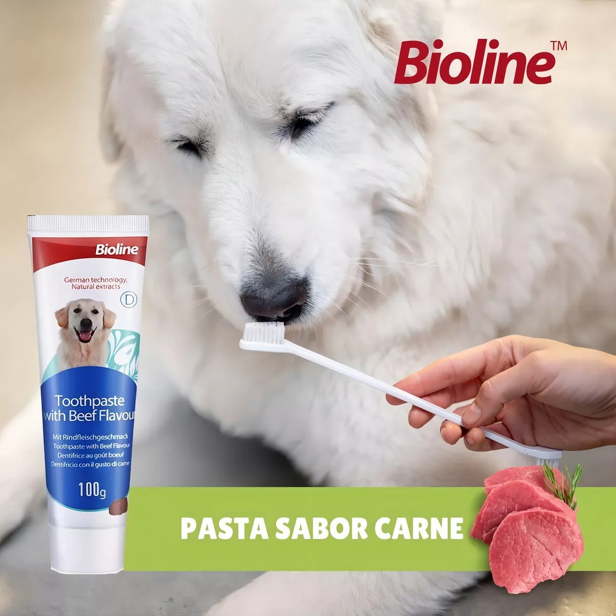 SET CUIDADO DENTAL BIOLINE PARA PERROS