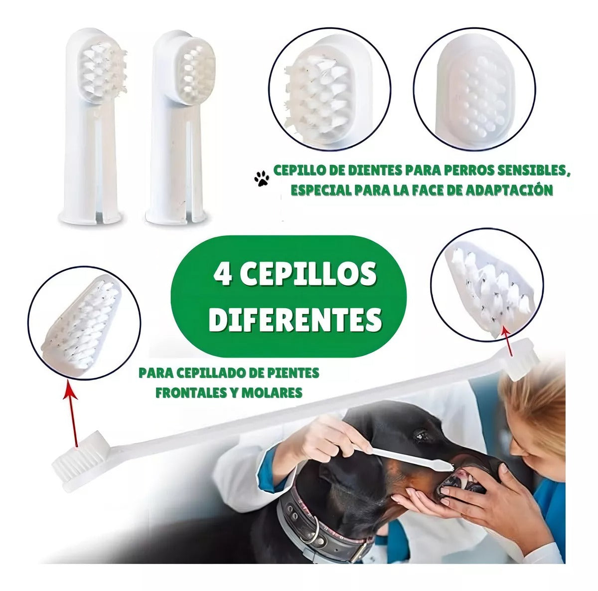 SET CUIDADO DENTAL BIOLINE PARA PERROS